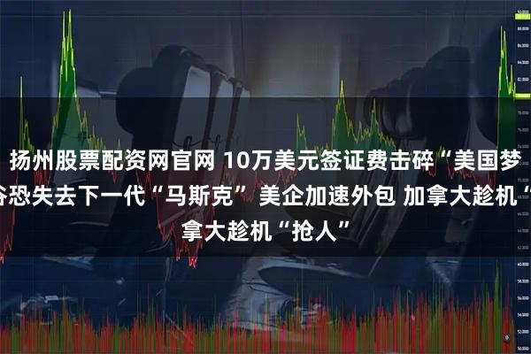 扬州股票配资网官网 10万美元签证费击碎“美国梦” 硅谷恐失去下一代“马斯克” 美企加速外包 加拿大趁机“抢人”