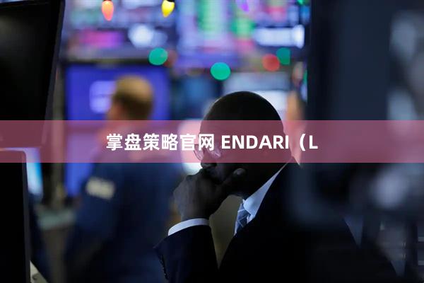 掌盘策略官网 ENDARI（L