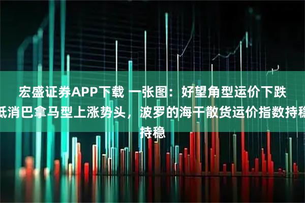 宏盛证券APP下载 一张图：好望角型运价下跌抵消巴拿马型上涨势头，波罗的海干散货运价指数持稳