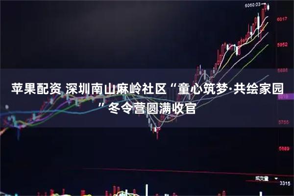 苹果配资 深圳南山麻岭社区“童心筑梦·共绘家园”冬令营圆满收官